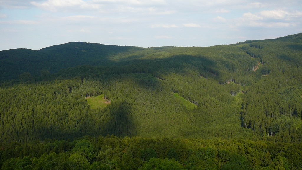 P1220758